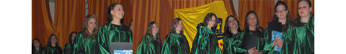 Third representative group of high school graduates